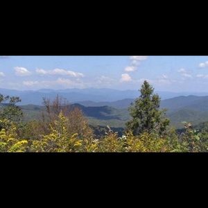 Meet your Posher, Cheyenne